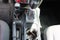 2022 Jeep Wrangler Rubicon